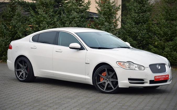 Jaguar XF cena 49900 przebieg: 219000, rok produkcji 2011 z Piwniczna-Zdrój małe 781